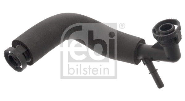 Hose, crankcase ventilation
